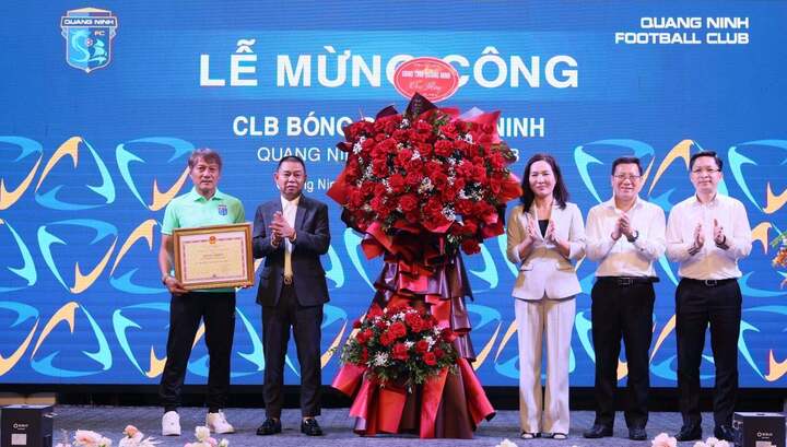 Thành Tích Xuất Sắc Của Đội Bóng